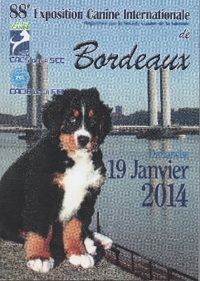 Des Plissés Du Maoling - Résultat de l'Exposition Canine de BORDEAUX :