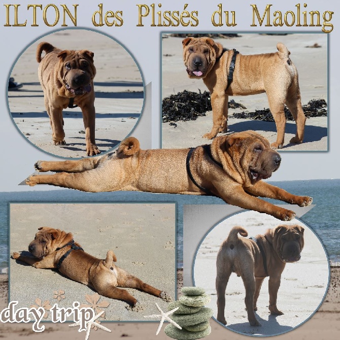 Des Plissés Du Maoling - Ilton des Plissés du Maoling