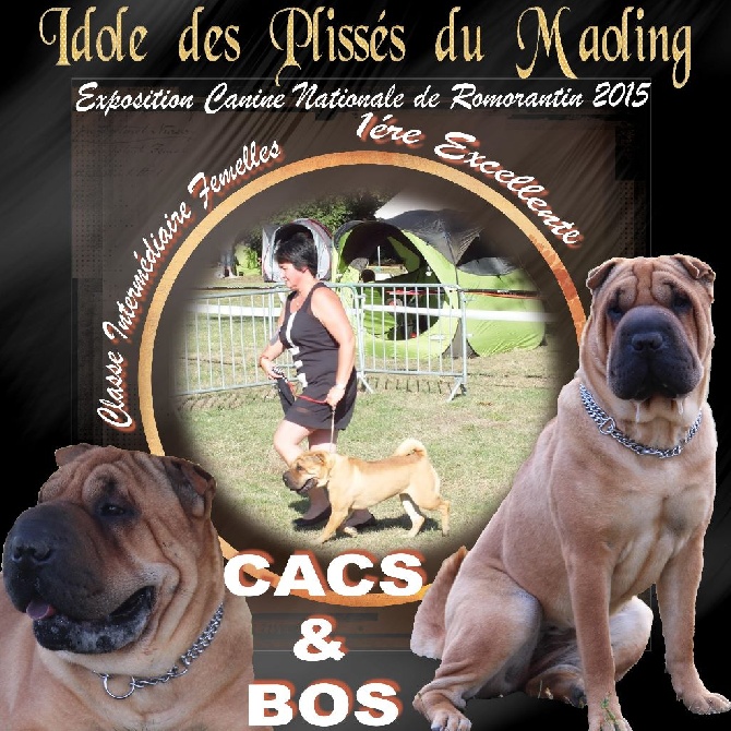 Des Plissés Du Maoling - Résultat Exposition Canine Nationale de Romorantin 