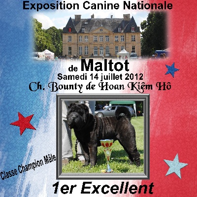 Des Plissés Du Maoling - Résultat Exposition Canine Maltot 