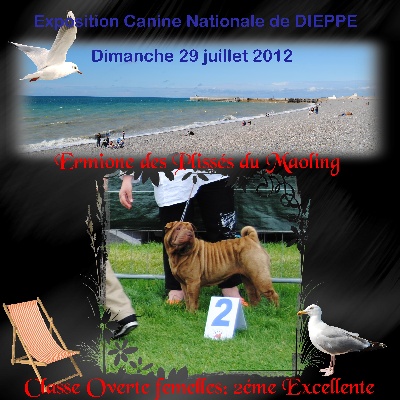 Des Plissés Du Maoling - Résultat Exposition Canine  DIEPPE (spéciale de race)