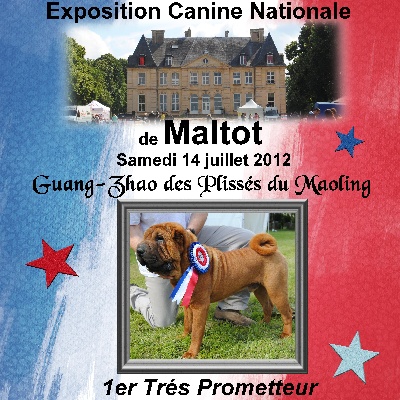 Des Plissés Du Maoling - Résultat Exposition Canine Maltot