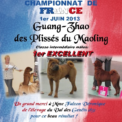 Des Plissés Du Maoling - CHAMPIONNAT DE FRANCE !