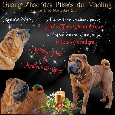 Des Plissés Du Maoling - palmarés 2012 de Guang-Zhao 