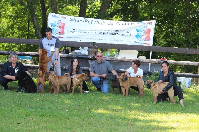 Des Plissés Du Maoling - Résultats Exposition Canine Nationale de MALTOT 