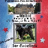  - Résultat Exposition Canine Maltot 