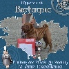 - Régionale d'élevage de Bretagne