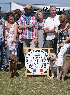 Des Plissés Du Maoling - résultat exposition de DIEPPE