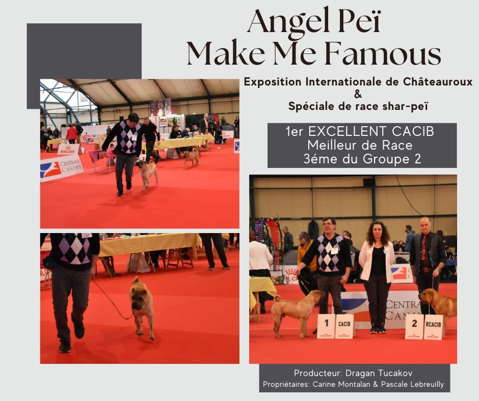 Des Plissés Du Maoling - Exposition Internationale de Châteauroux